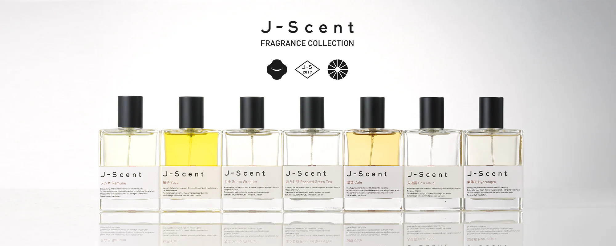 Capture the Essence of Japan